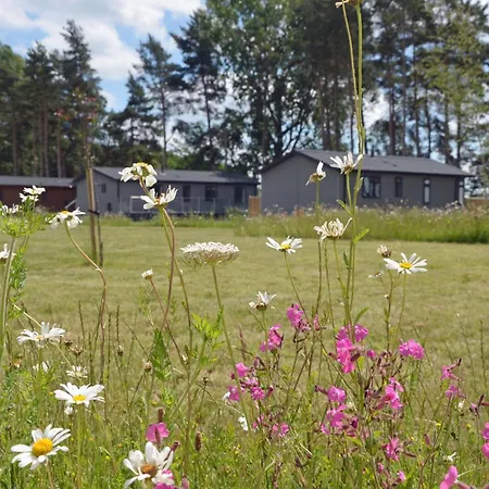 Hollicarrs - Waters Edge Lodge *