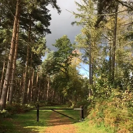 Lodge Hollicarrs - Waters Edge *