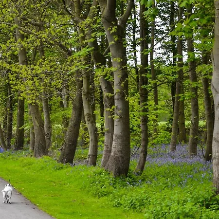 Hollicarrs - Waters Edge 롯지