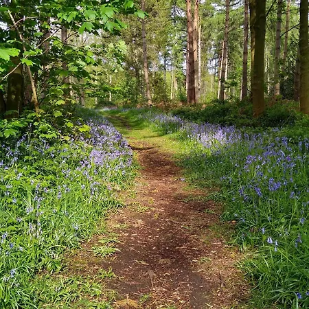 롯지 Hollicarrs - Waters Edge Riccall