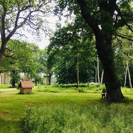 Hollicarrs - Waters Edge 롯지