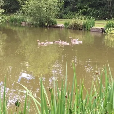 Hollicarrs - Waters Edge *