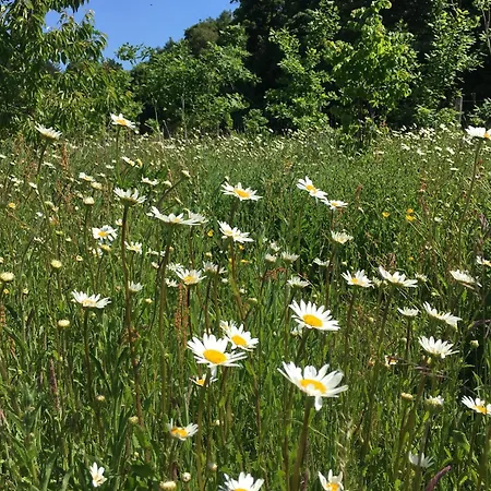 Chata Hollicarrs - Waters Edge *