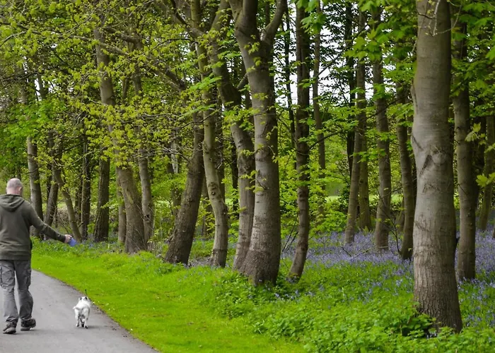 Hollicarrs - Waters Edge 山林小屋