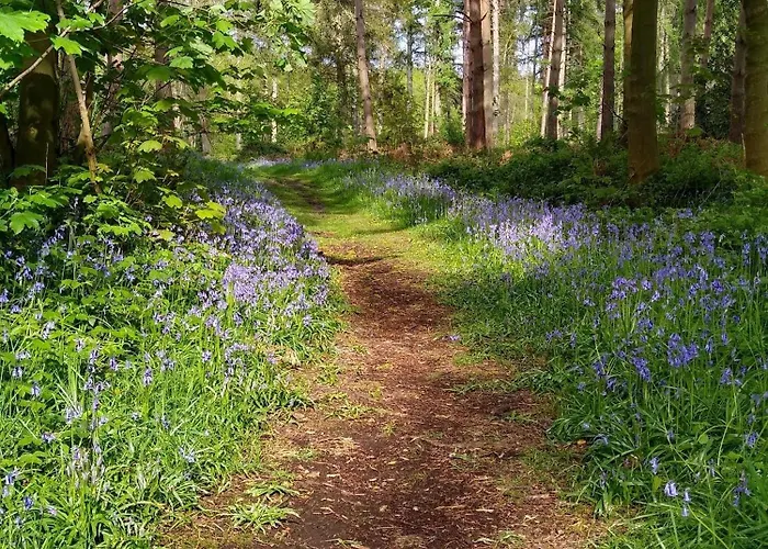 山林小屋 Hollicarrs - Waters Edge Riccall