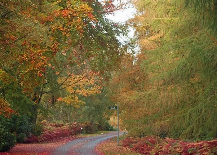 Hollicarrs - Waters Edge *