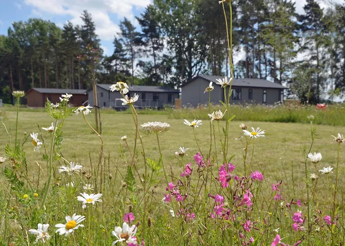 Hollicarrs - Waters Edge 山林小屋 *