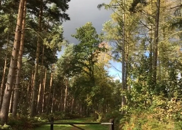 山林小屋 Hollicarrs - Waters Edge *