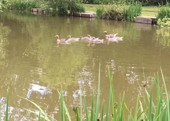 Hollicarrs - Waters Edge *