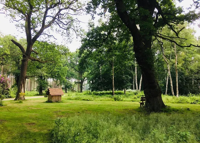 Hollicarrs - Waters Edge 山林小屋